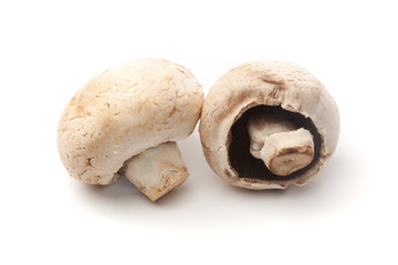Weisse Champignon Pilze, Freisteller auf weissem Hintergrund