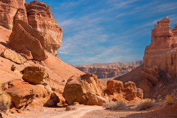 Fototapeta na wymiar Charyn canyon in Almaty region of Kazakhstan