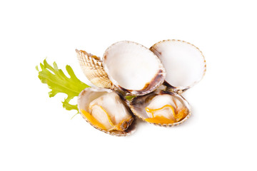 cockles isolated on white background