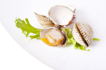 cockles isolated on white background