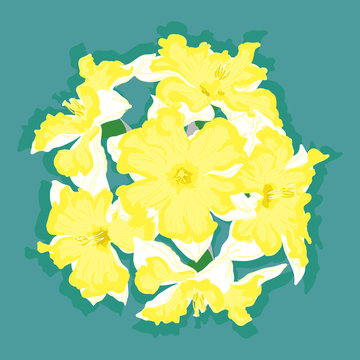 Narcissus vector yellow ball