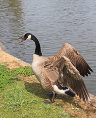 Bois de Vincennes
