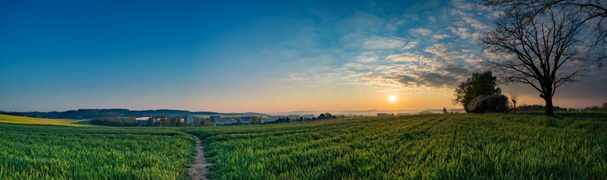 Sunrise sky over green field at springtime, rural landscape pano