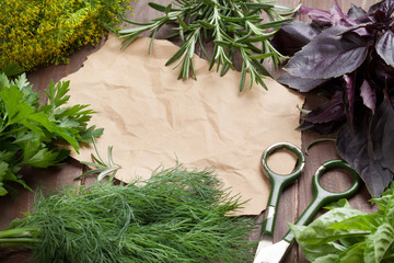 Fresh garden herbs and piece of paper