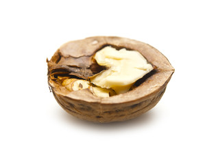 Part of a walnut on a white background