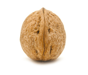 Walnut on a white background