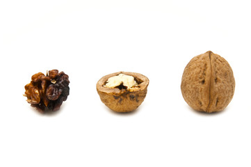 Walnuts on a white background