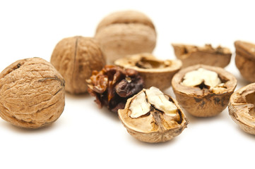 Some walnuts on a white background