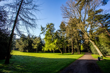 Weg im sonnenüberfluteten Bürgerpark von Bremen