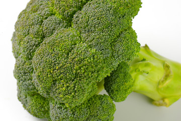 Fresh head of broccoli
