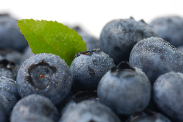Fresh ripe blueberries