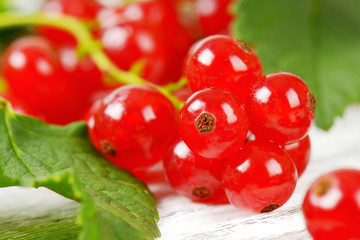 Fresh red currant berries