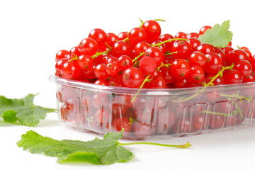 Fresh red currants