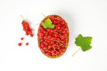 Fresh picked red currants