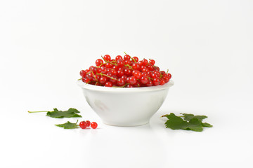 Fresh picked red currants