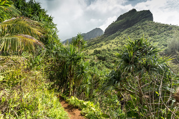 Fototapeta na wymiar Kalalau Trail in Kauai / Hawaii
