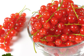 Fresh red currant berries