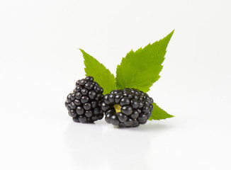 Fresh ripe blackberries