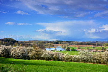 Fototapeta na wymiar colorful spring landscape with lake