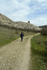 little boy walking alone on a path, from backside, Pelegrina, Sp