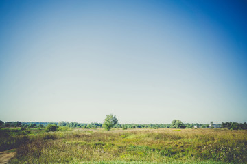 Obraz premium Summer Rural Landscape Filtered