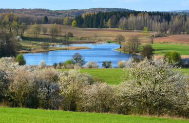 colorful spring landscape with lake