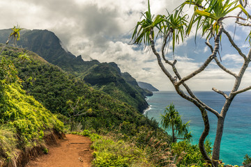 Kalalau Trail in Kauai / Hawaii