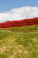 japan garden II-noain