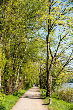 Frühling am See