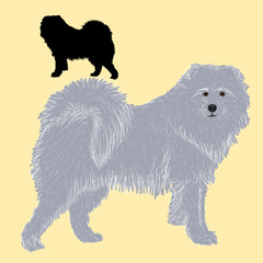 Siberian Samoyed dog black silhouette 