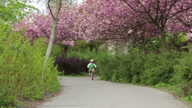 Cute preschool children, riding bikes in the park, springtime