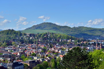 Fototapeta na wymiar Grünes Freiburg