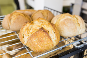 Gluten free round bread
