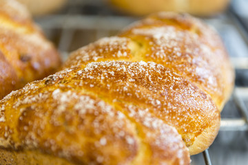Loaf of sweet Easter bread with leaven