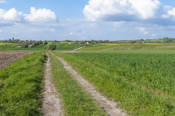 Fototapeta na wymiar Rural Landscape Eastern Poland