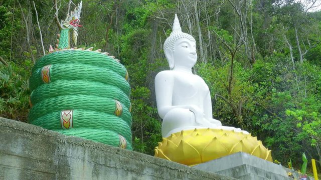 Buddha in the wilderness