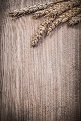 Composition of golden wheat rye ears on wooden board copyspace