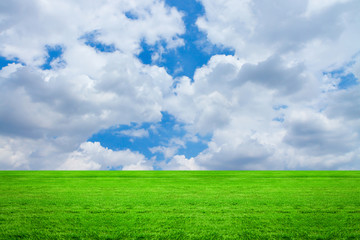 Green grass with sky and cloud 