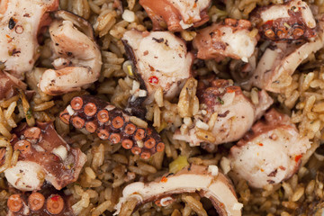 tasty octopus risotto