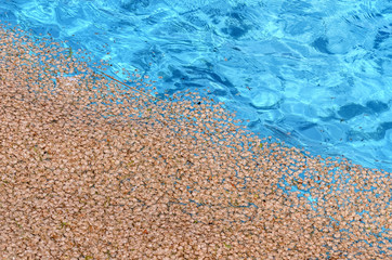 Little leaves floating over the water swimming pool. Abstract summer background.