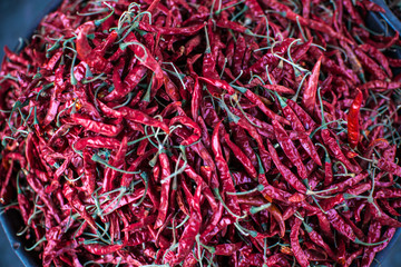 Fototapeta premium Close up red Indian chili pepper