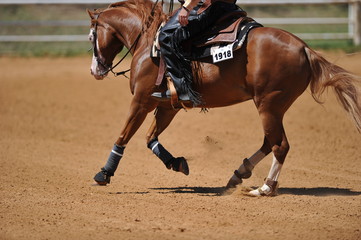 Obraz premium Fragment of the side view of a rider in the chaps on a horseback during the NRHA competition.