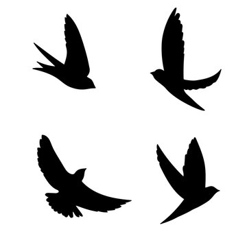 set black silhouette bird icon vector