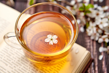 Leisure concept . Cup of tea with a book and cherry blossoms on an old wooden background