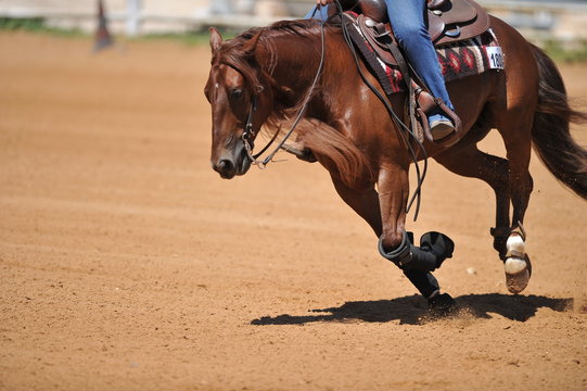 Fragment of the side view of a rider on a horseback during the NRHA competition.