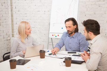 Fototapeta premium Coworking of businessteam