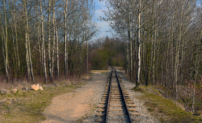 Narrow gauge railway