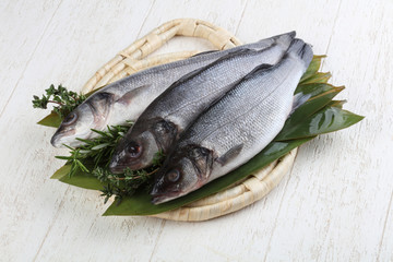 Seabass