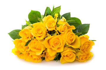  Yellow rose  bouquet isolated.