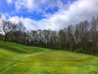 On a empty golf course in forest